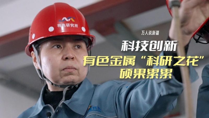 数据湖云服务：构建企业数据新生态的关键**